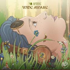 Wide Awake mp3 Album by No Spirit