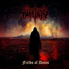 Fields of Doom mp3 Album by Stone Nomads