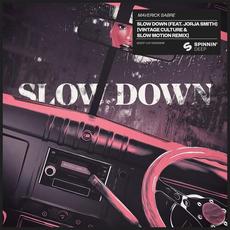 Slow Down (Vintage Culture & Slow Motion remix) mp3 Single by Maverick Sabre