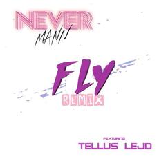 FLY mp3 Remix by NeverMann