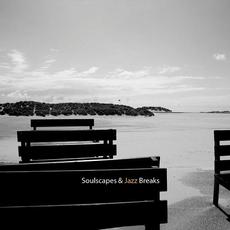 Soulscapes & Jazz Breaks mp3 Album by Pat D & Lady Paradox