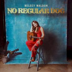 No Regular Dog mp3 Album by Kelsey Waldon