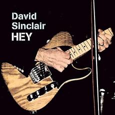Hey mp3 Album by David Sinclair