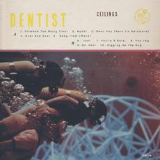 Ceilings mp3 Album by Dentist