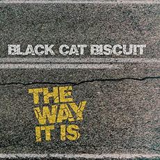 The Way It Is mp3 Album by Black Cat Biscuit