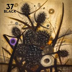 Lullabies mp3 Album by 37 Black
