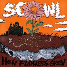 How Flowers Grow mp3 Album by Scowl