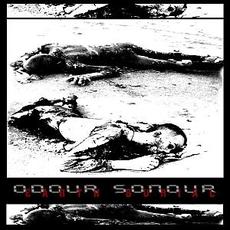 Earth Burial mp3 Album by Odour Sonour