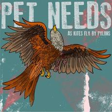 As Kites Fly By Pylons mp3 Album by PET NEEDS