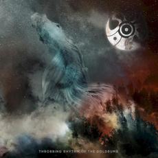 Throbbing Rhythm of the Doldrums mp3 Album by Stoned Void