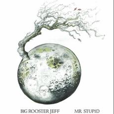 Mr Stupid mp3 Album by Big Rooster Jeff