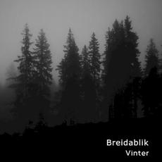 Vinter mp3 Album by Breidablik