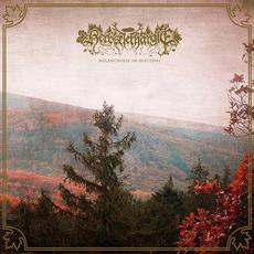 Melancholie im Blattfall mp3 Album by Herbstlethargie