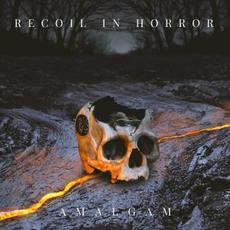 Amalgam mp3 Album by Recoil in Horror