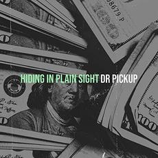 Hiding In Plain Sight mp3 Album by Dr Pickup