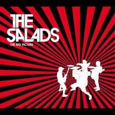 The Big Picture mp3 Album by The Salads