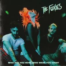 Who Are You Now, Who Were You Then? mp3 Album by The Foxies