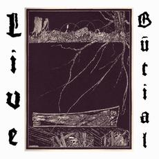 Demo 2013 mp3 Album by Live Burial