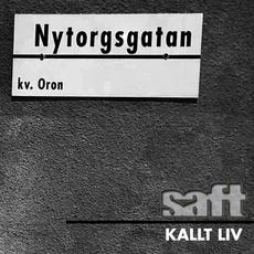Kallt Liv mp3 Single by Saft