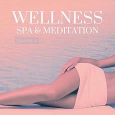 Wellness, Spa & Meditation, Vol. 4 mp3 Compilation by Various Artists