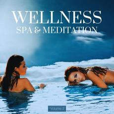 Wellness, Spa & Meditation, Vol. 2 mp3 Compilation by Various Artists