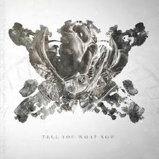 Tell You What Now mp3 Album by Tell You What Now