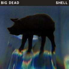 Shell mp3 Album by Big Dead