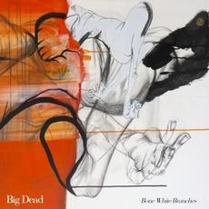 Bone White Branches mp3 Album by Big Dead