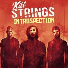 Introspection mp3 Album by Kill Strings