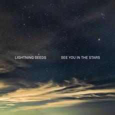 See You in the Stars mp3 Album by Lightning Seeds