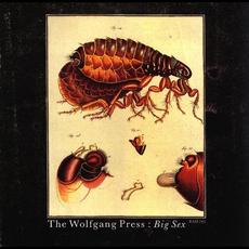 Big Sex EP mp3 Album by The Wolfgang Press