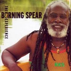 The Experience mp3 Artist Compilation by Burning Spear