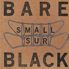 Bare Black mp3 Album by Small Sur