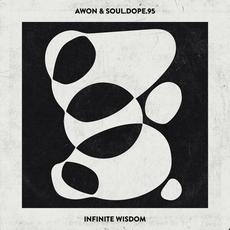 Infinite Wisdom mp3 Album by Soul.Dope.95