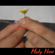 It Will All End In Tears mp3 Album by Holy Now