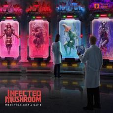 More Than Just a Name mp3 Album by Infected Mushroom