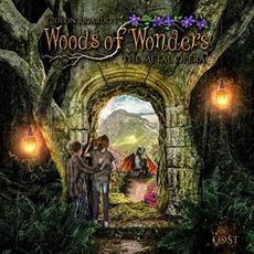 Lost mp3 Album by Woods Of Wonders