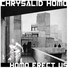 HOMO ERECT US mp3 Album by Chrysalid Homo