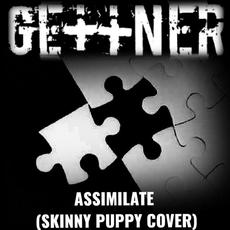Assimilate (Skinny Puppy Cover) mp3 Single by GEttNER
