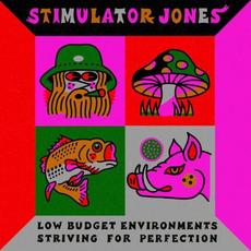 Low Budget Environments Striving For Perfection mp3 Album by Stimulator Jones