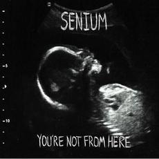 You're Not From Here mp3 Album by Senium