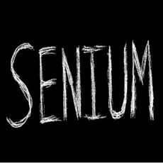 Senium mp3 Album by Senium