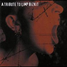 A Tribute To Limp Bizkit mp3 Compilation by Various Artists