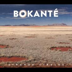 Strange Circles mp3 Album by Bokanté
