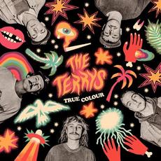 True Colour mp3 Album by The Terrys