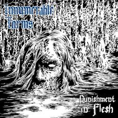 Punishment In Flesh mp3 Album by Innumerable Forms