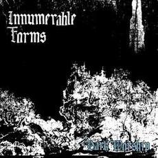 Dark Worship mp3 Album by Innumerable Forms