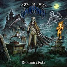 Decomposing Spells mp3 Album by Vaultwraith