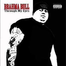 Through My Eyes mp3 Album by Brahma Bull