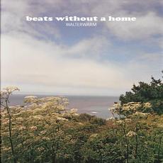 Beats Without a Home mp3 Album by Walterwarm
